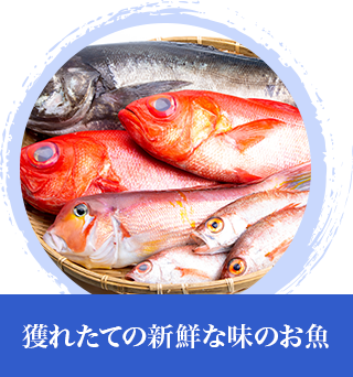 獲れたての新鮮な味のお魚